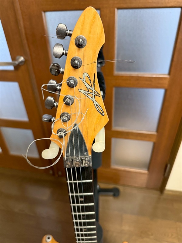 Aria ProII AP Custom NAの画像